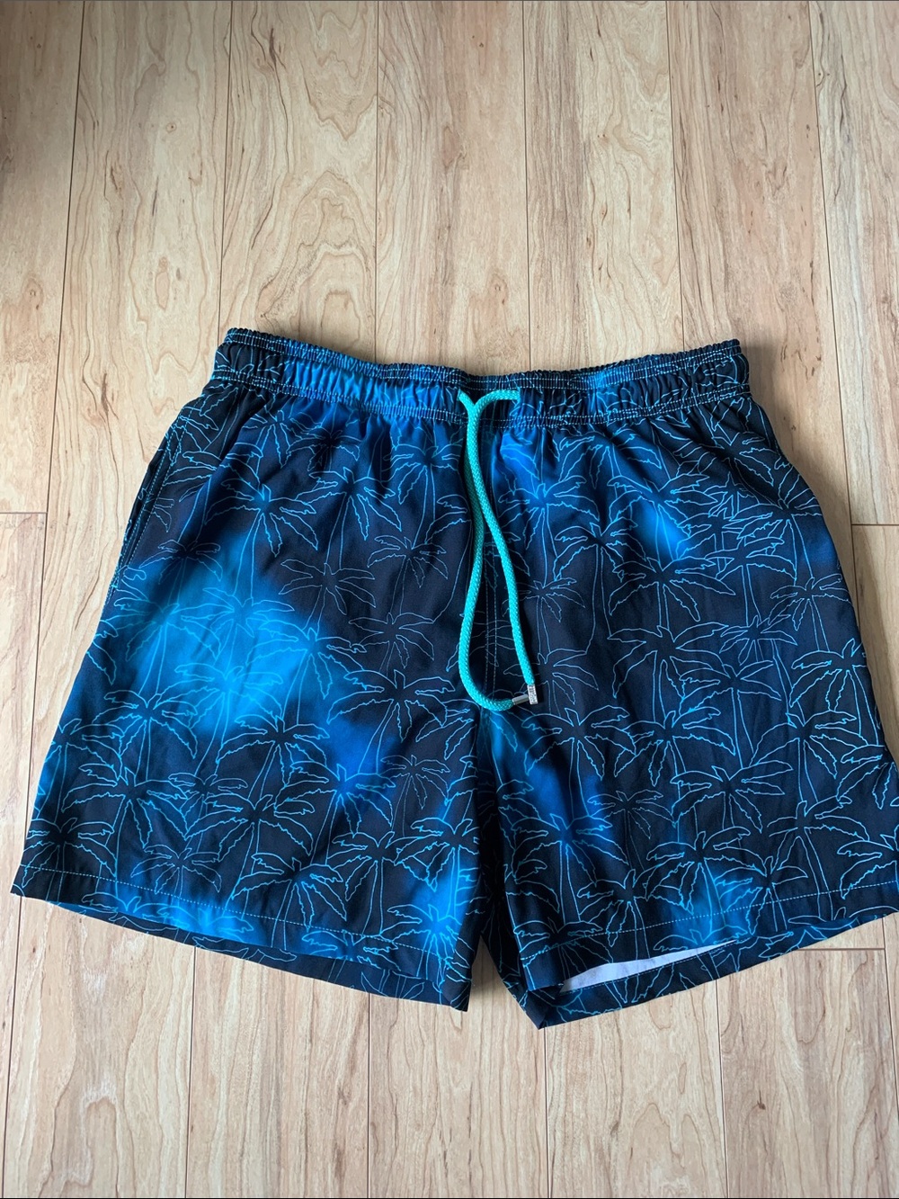 Capelle Blue and Green Palm Print Swim Shorts with Teal Drawstring